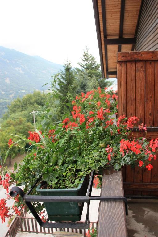 Hotel Bellevue Gignod Δωμάτιο φωτογραφία