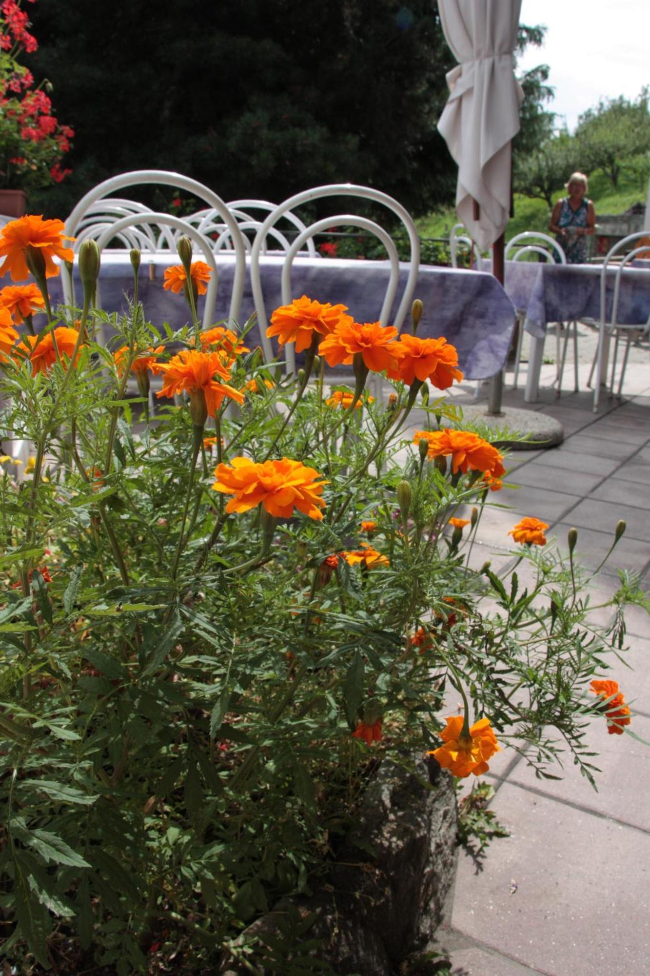 Hotel Bellevue Gignod Εξωτερικό φωτογραφία